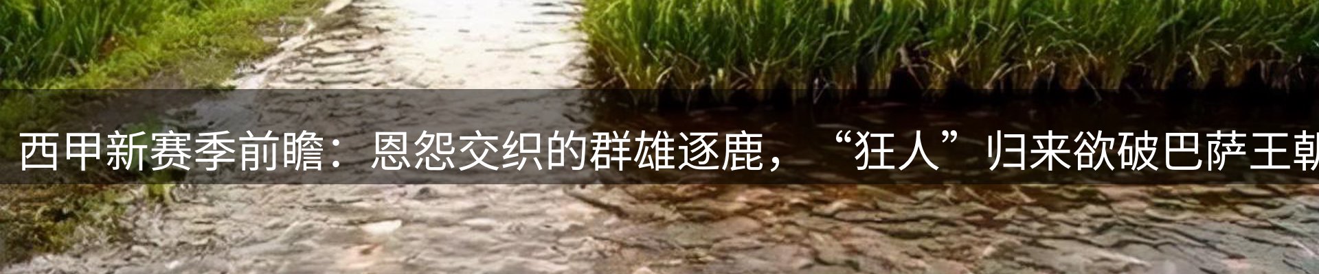 体育资讯
